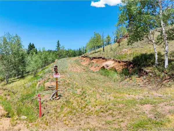 404 Morning Star Creek, Florissant, CO 80816