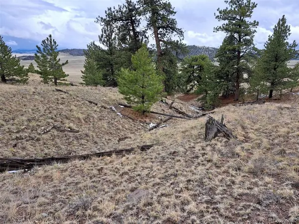 783 Remuda, Hartsel, CO 80449