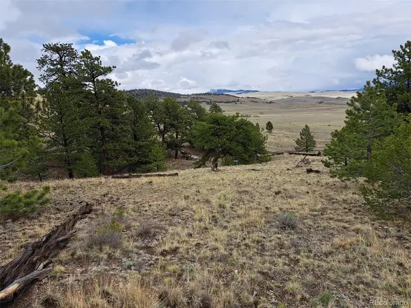 783 Remuda, Hartsel, CO 80449