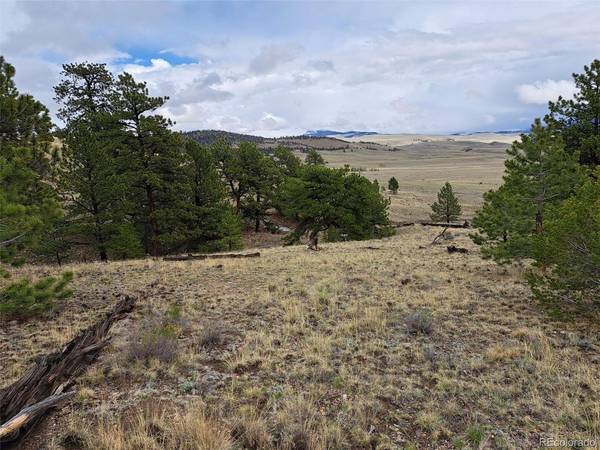 783 Remuda,  Hartsel,  CO 80449