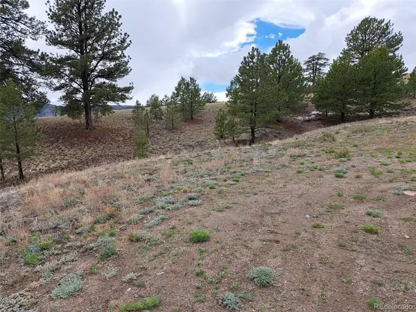 783 Remuda, Hartsel, CO 80449