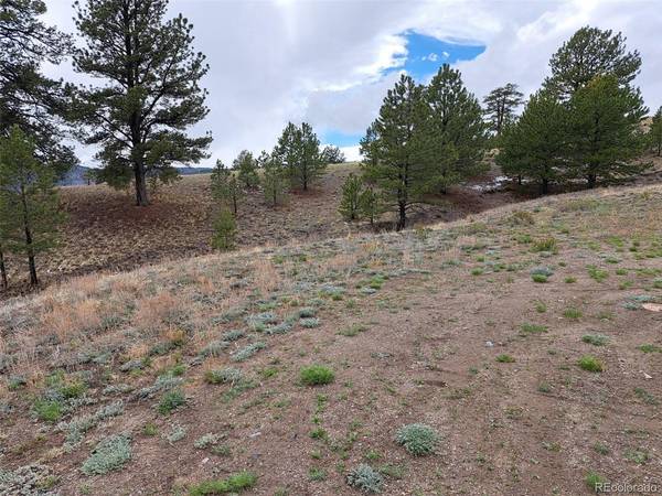 783 Remuda, Hartsel, CO 80449