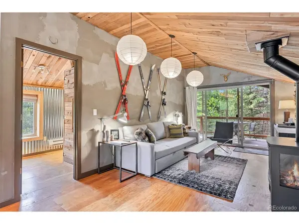 932 Peterson, Alma, CO 80420