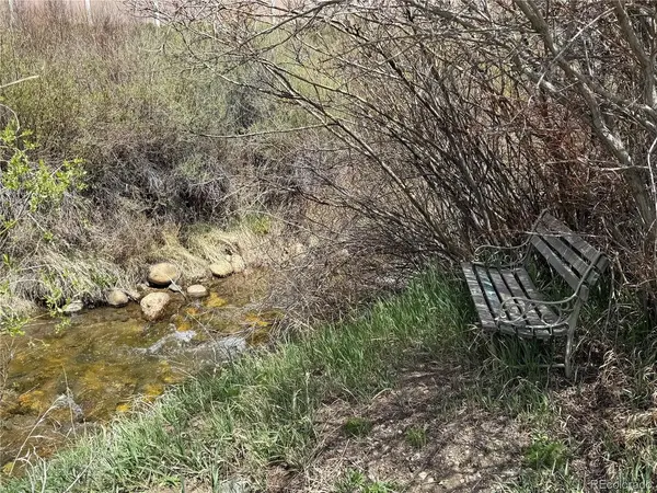 115 Straight Creek, Dillon, CO 80435