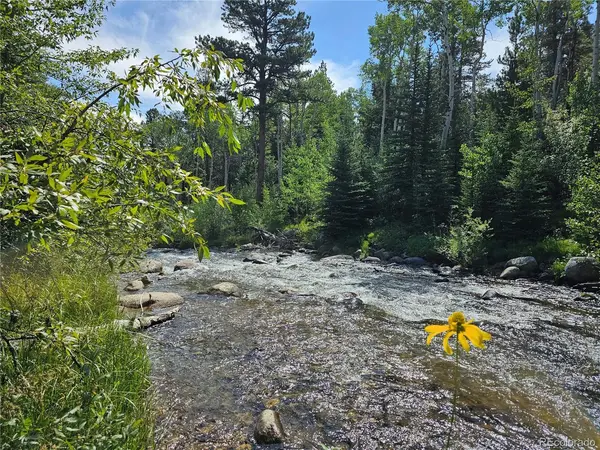 19039 Monarch River, Salida, CO 81201