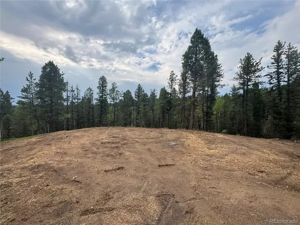 111 Elk Creek, Divide, CO 80814
