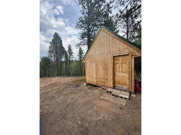 111 Elk Creek, Divide, CO 80814