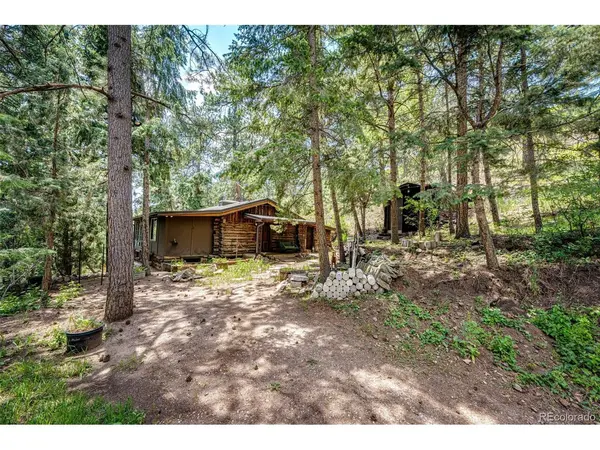 9079 S Murphy Gulch, Littleton, CO 80127