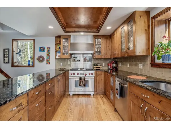 495 Edgewood, Alma, CO 80420