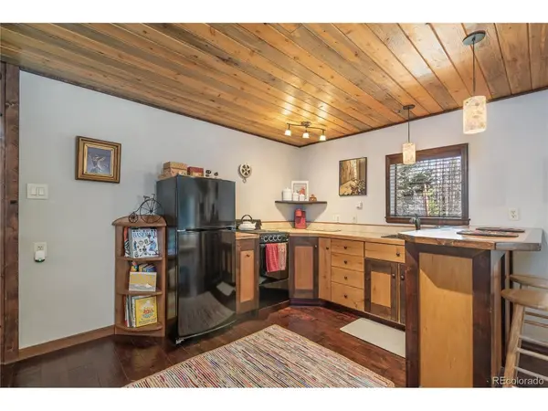 495 Edgewood, Alma, CO 80420