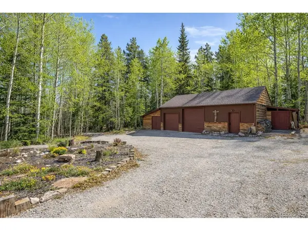 495 Edgewood, Alma, CO 80420