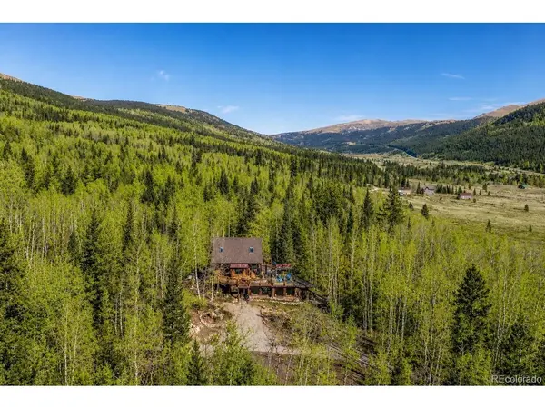 495 Edgewood, Alma, CO 80420