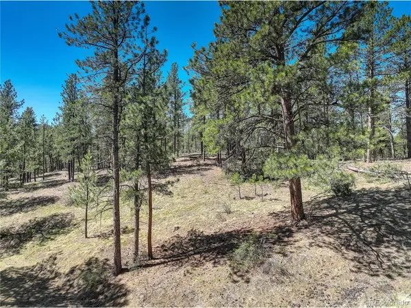 0 Hayden Ridge, Evergreen, CO 80439