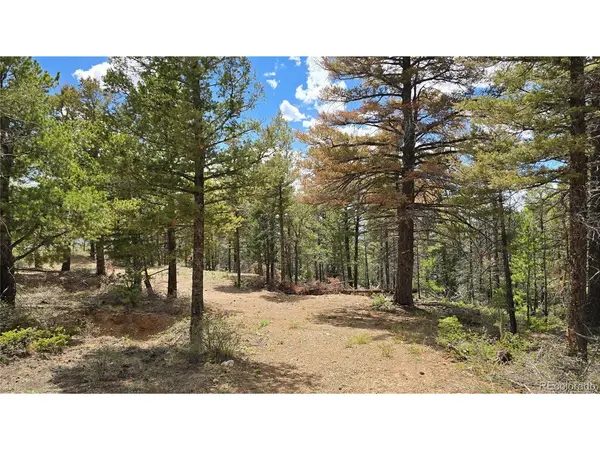 5825 Covington, Fort Garland, CO 81133