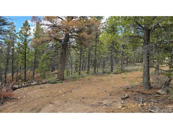 5825 Covington, Fort Garland, CO 81133