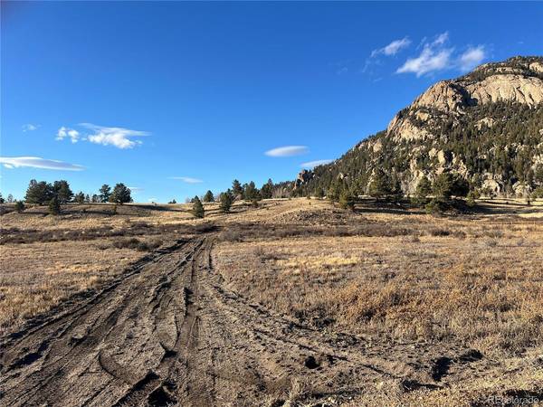 215 Topaz, Lake George, CO 80827