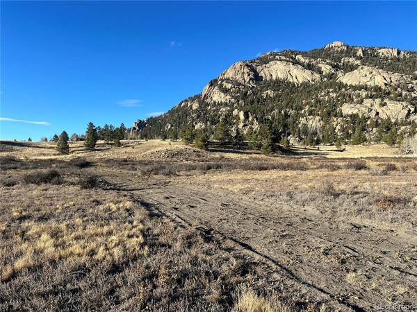 215 Topaz, Lake George, CO 80827