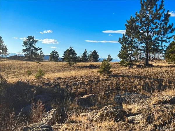 215 Topaz, Lake George, CO 80827