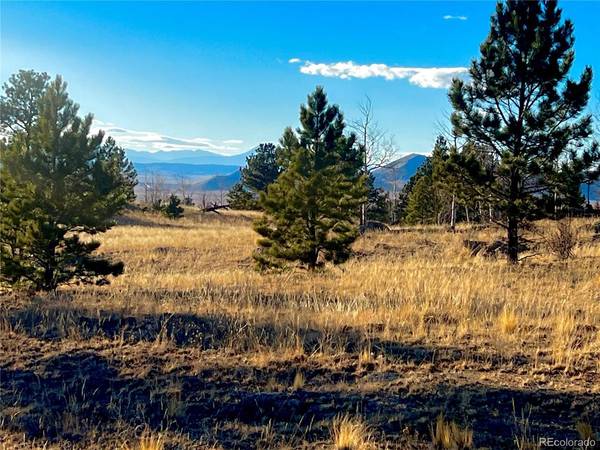 215 Topaz,  Lake George,  CO 80827