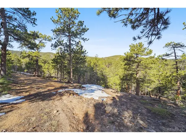 854 Crescent Lake, Golden, CO 80403