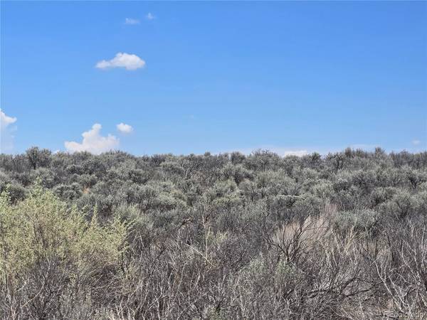 19 Antonito Trail,  Mesita,  CO 81152