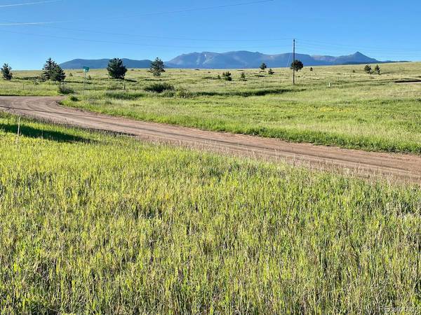90 Golden Grain,  Divide,  CO 80814