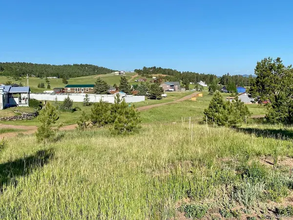 90 Golden Grain, Divide, CO 80814