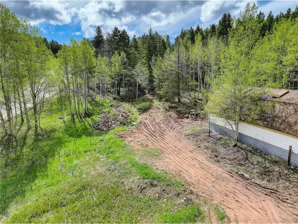 9179 Black Mountain, Conifer, CO 80433