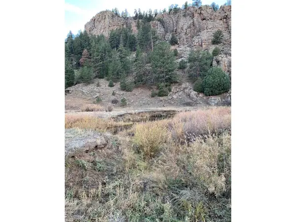 1840 Lakemoor, Florissant, CO 80816