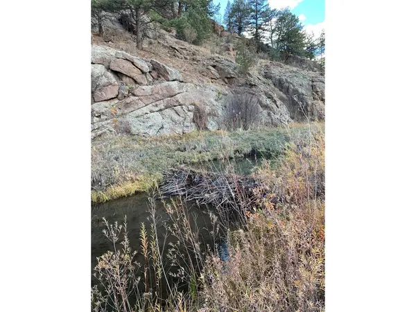 1840 Lakemoor, Florissant, CO 80816