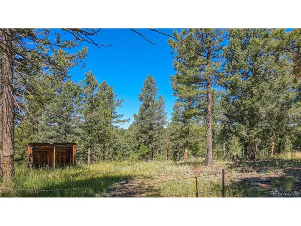 3723 Omer, Divide, CO 80814