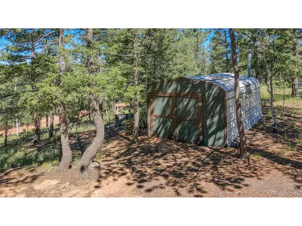 3723 Omer, Divide, CO 80814