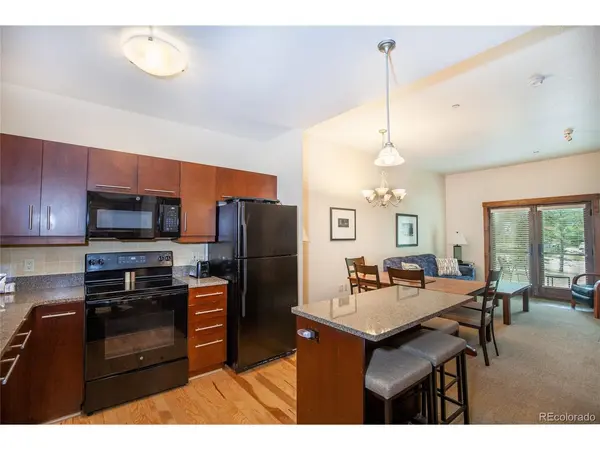 172 Beeler #116, Frisco, CO 80443