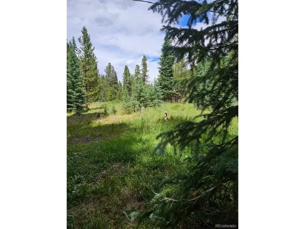 19 Hinterland, Blue River, CO 80424