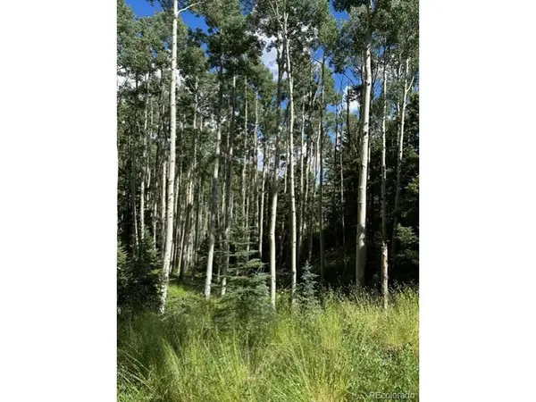 TBD, Jasper, CO 81132
