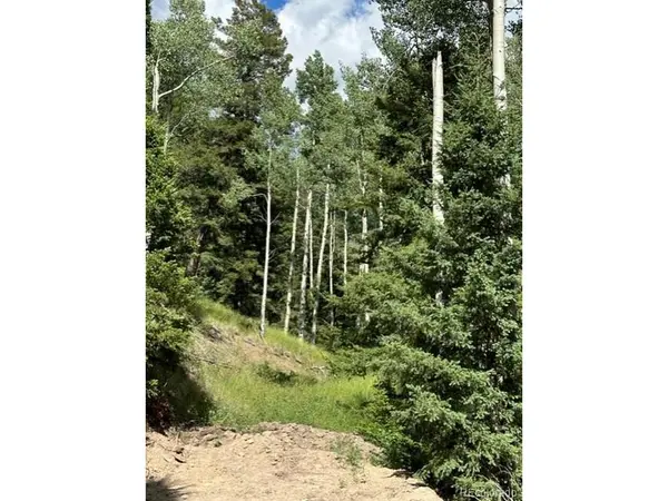 TBD, Jasper, CO 81132
