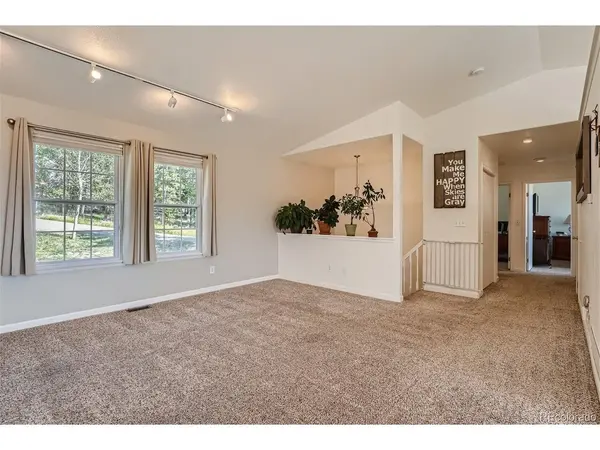 168 Caesar, Black Hawk, CO 80422