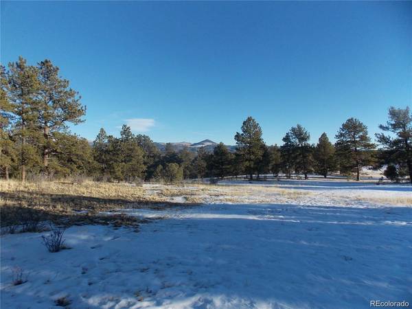 0 Twinkle,  Guffey,  CO 80820
