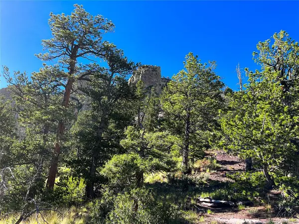 TBD Spanish Peak Ranch Estates, Aguilar, CO 81020