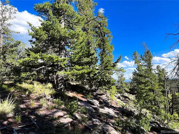 TBD Spanish Peak Ranch Estates, Aguilar, CO 81020