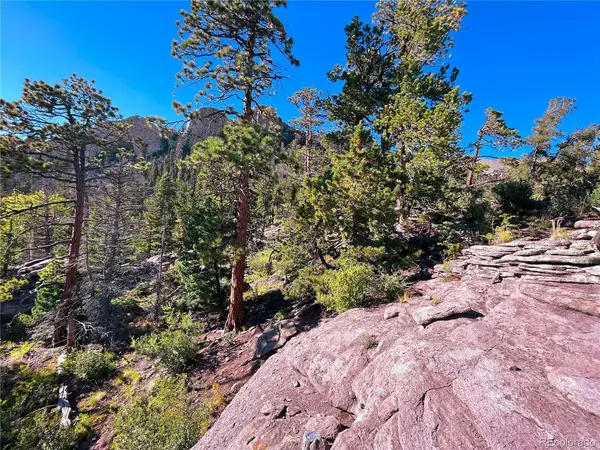 TBD Spanish Peak Ranch Estates, Aguilar, CO 81020