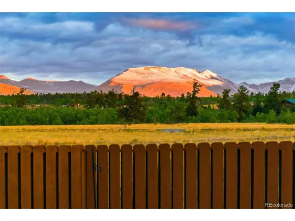 119 Bristlecone, Fairplay, CO 80440
