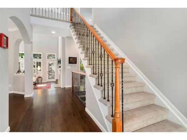 9891 Greensview, Lone Tree, CO 80124