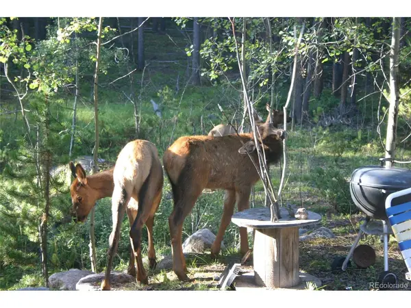 76 GCR 480, Grand Lake, CO 80447