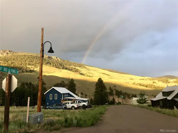 303 Rue La Fong, Creede, CO 81130