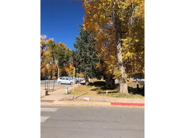 0 W Silver, Crestone, CO 81131