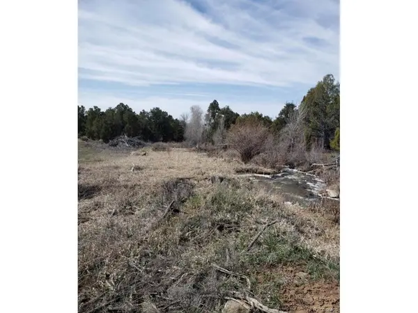29694 P 50, Hotchkiss, CO 81419