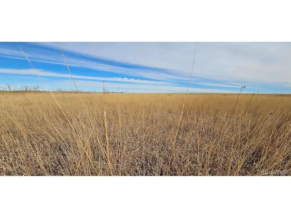 TBD County Road 37, Holly, CO 81047