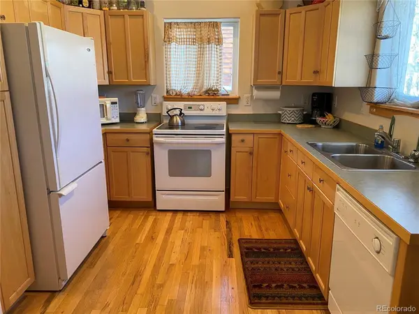 143 N Oak, Alma, CO 80420
