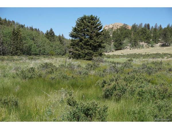 321 Forest, Lake George, CO 80827